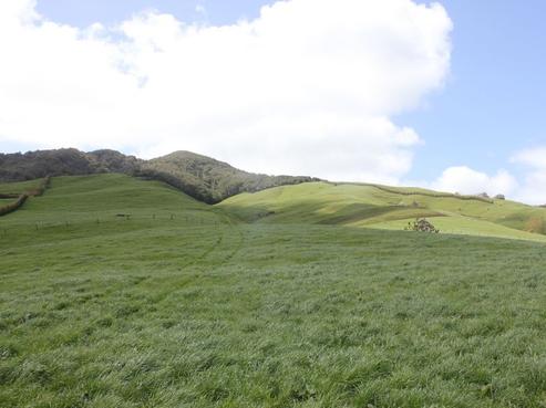 558 Kakepuku Road, Te Awamutu