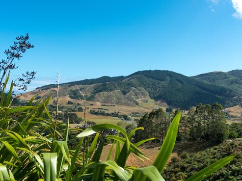 130 Ross Road, Hira