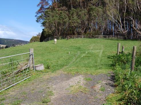 1559 State Highway 16, Helensville