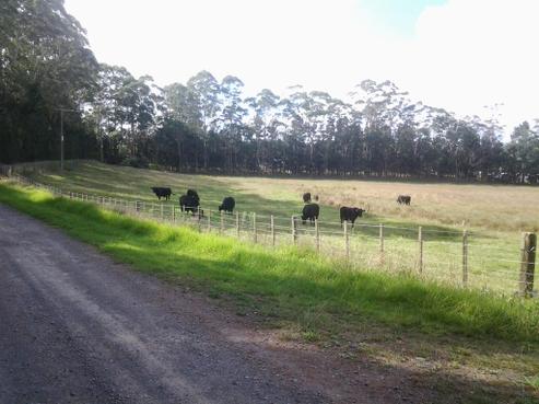 229A Sandys Road, Kerikeri Surrounds