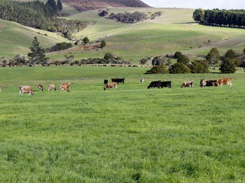 1665 State Highway 10, Taupo Bay/Totara North