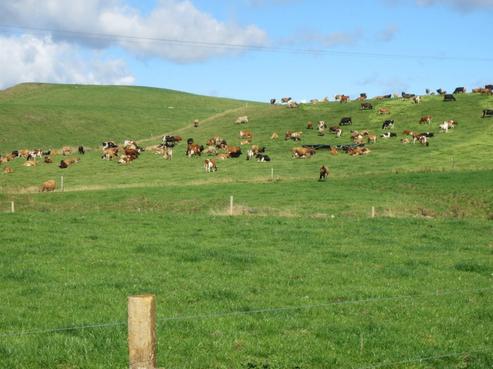 61 Parkville Road, Eketahuna