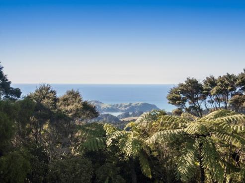 158 Hay Road, Oakura Coast
