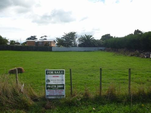 55 Patu-kukupa Street, Manaia