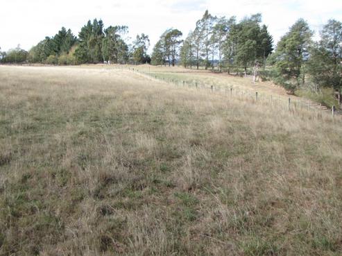 399 Boundary Road, Loburn
