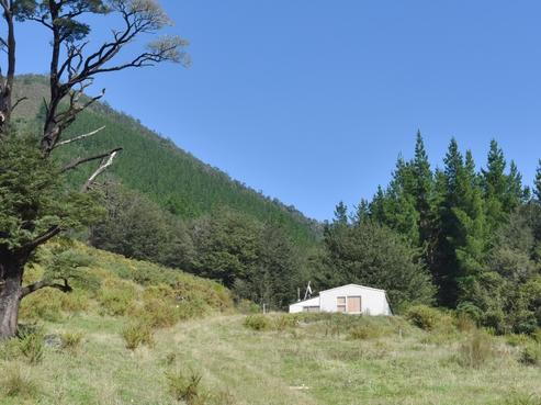 446 Glentui Bush Road, Glentui