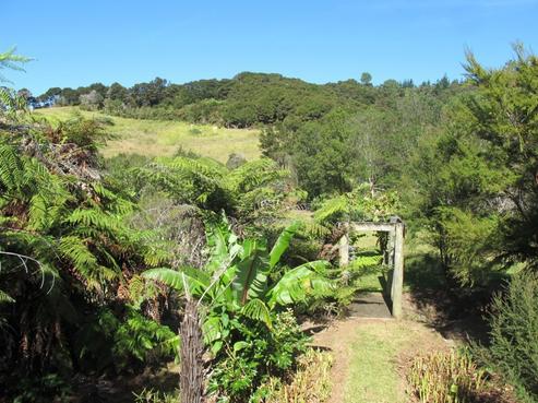 1224B Whangapoua Road, Whangapoua