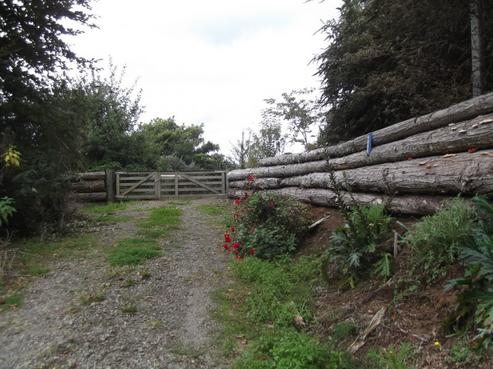 1088 Makuri Road, Douglas