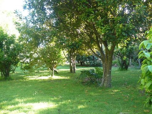 21 Mako Street, Taupo Bay/Totara North