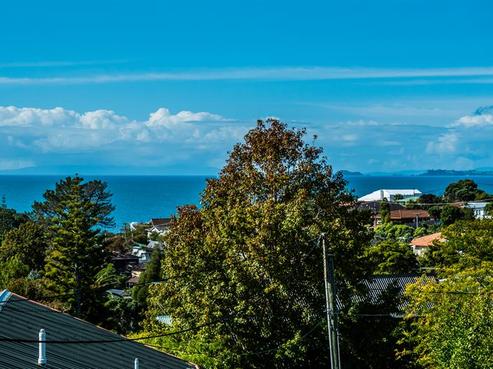 14 Clematis Avenue, Murrays Bay