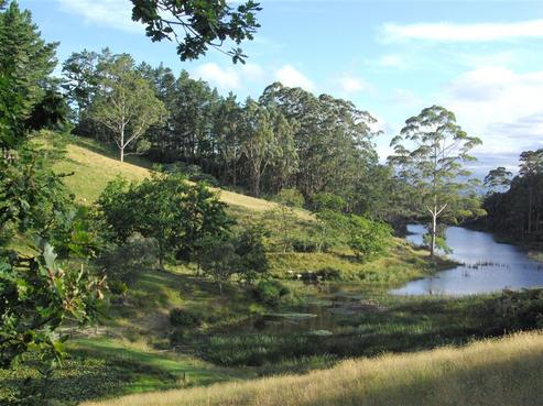 77B Wiroa Road, Kerikeri