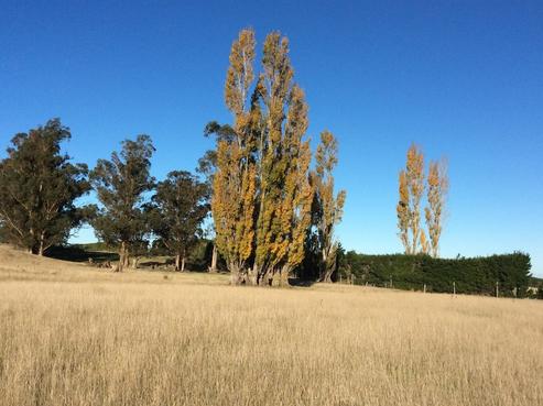 152 Stonyflat Road, Loburn