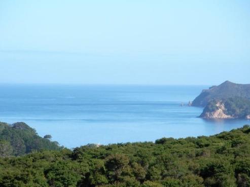 61 Cape Barrier Road, Great Barrier Island