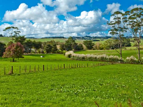 282 Ireland Road, Waitoki