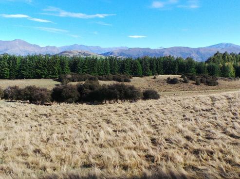 837C Lake Hawea-albert Town Road, Albert Town