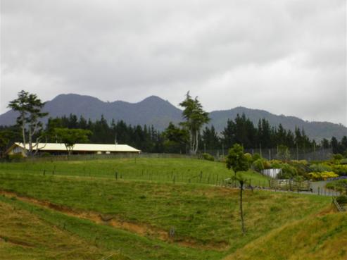 171 Mangauika Road, Pirongia