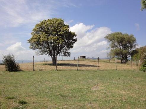 227 Paerata Ridge Road, Opotiki and Surrounds