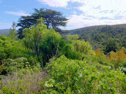 15 Falls Road, Waitakere