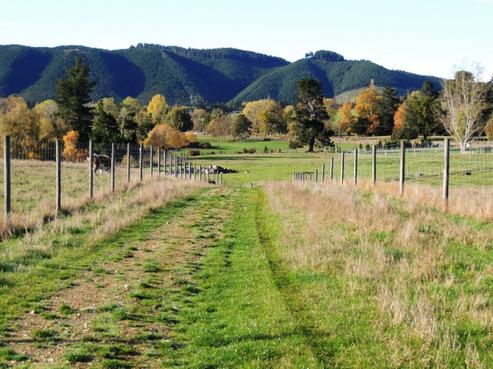1898 Geraldine-fairlie Highway, Geraldine
