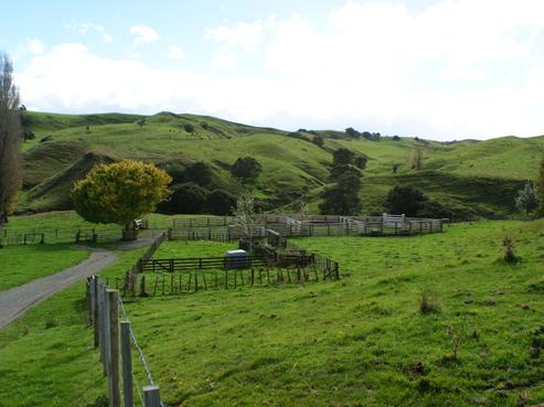 100 Glengarry Road, Eskdale