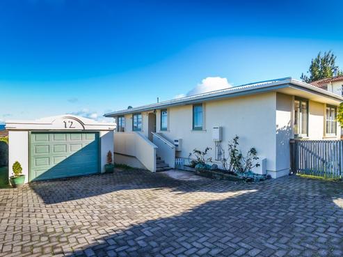 12A Te Hepera Street, Waipahihi