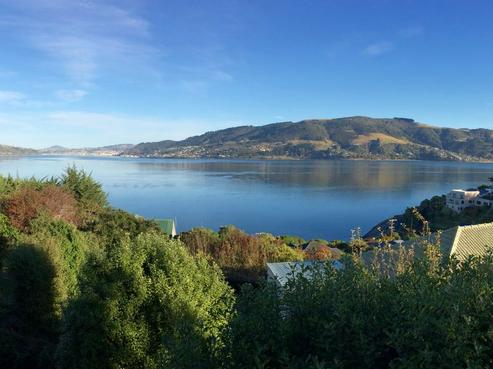 19 Mclelland Street, Macandrew Bay