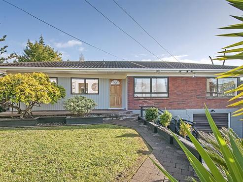 22 Angelo Avenue, Howick