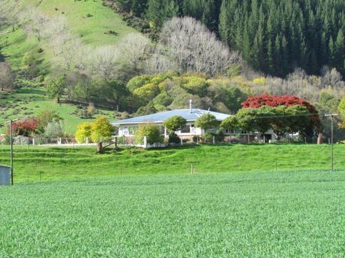 4465 Motueka Valley Highway, Tapawera