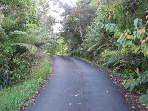 31 Grahamtown Road, Onerahi