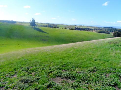 71 Wapiti Avenue, Feilding
