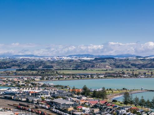 137 Thompson Road, Napier Hill