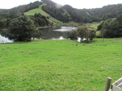 191 Millington Road, Maunu