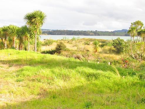 11 Rangitukehu Street, Ohope