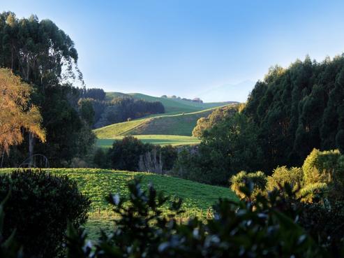 262 Henry Watson Road, Matamata