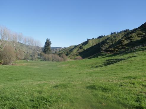 438 Ararimu East Road, Taumarunui