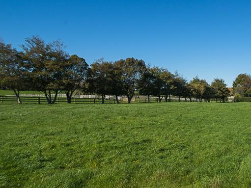 140 Ellett Road, Karaka