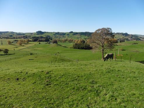 113 Oparure Road, Te Kuiti