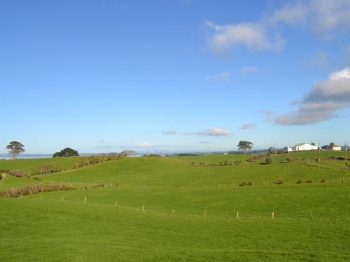 247 Grahams Beach Road, Manukau Heads