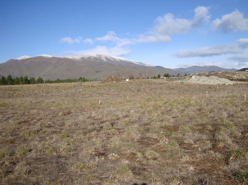 3 Harris Place, Twizel
