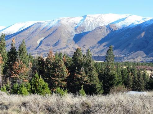 82 Ohau Drive, Lake Ohau