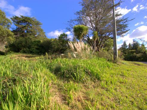 74 Te Henga Road, Waitakere