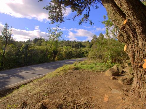 76 Te Henga Road, Waitakere