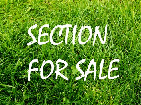 30B Surf Road, Stanmore Bay