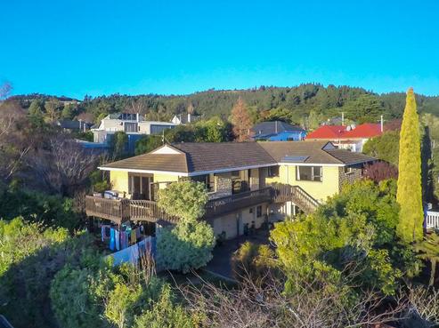 53 Warden Street, Opoho