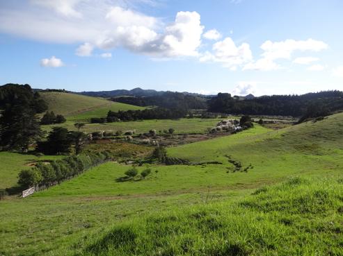 255 Campbell Road, Parua Bay