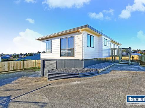 195 Finlayson Avenue, Clendon Park