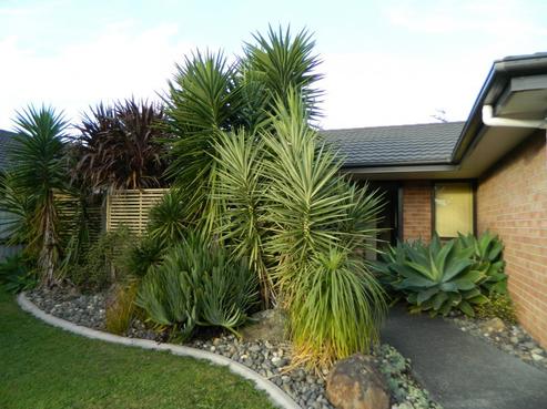4 Eastside Drive, Pukekohe