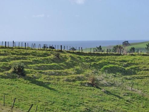 26 Cottage Hill Way, Waipu
