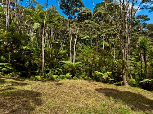 40 Opanuku Road, Henderson Valley