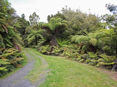 163 Middleton Road, Hunua